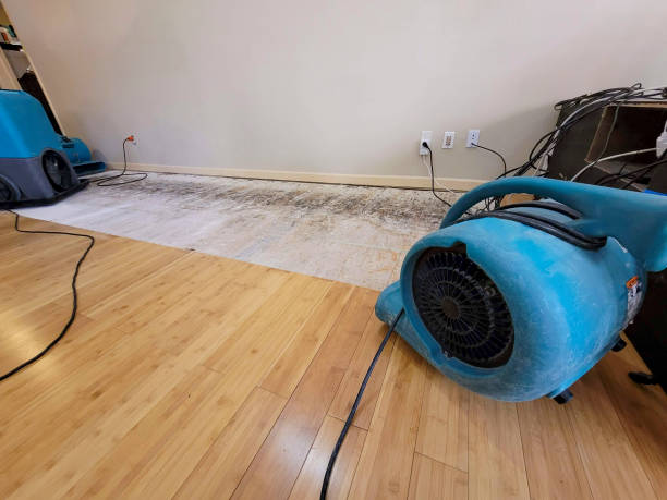 Professional Basement Flood Cleanup technician working in East Orland, ME